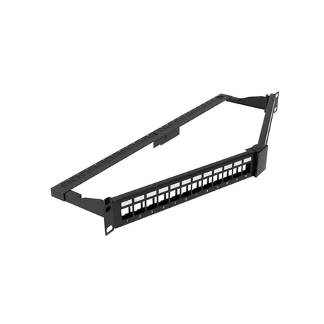 CERTECHCERTECH 1RU 19" 24 Port Shielded Angled Unloaded Patch Panel, with Rea